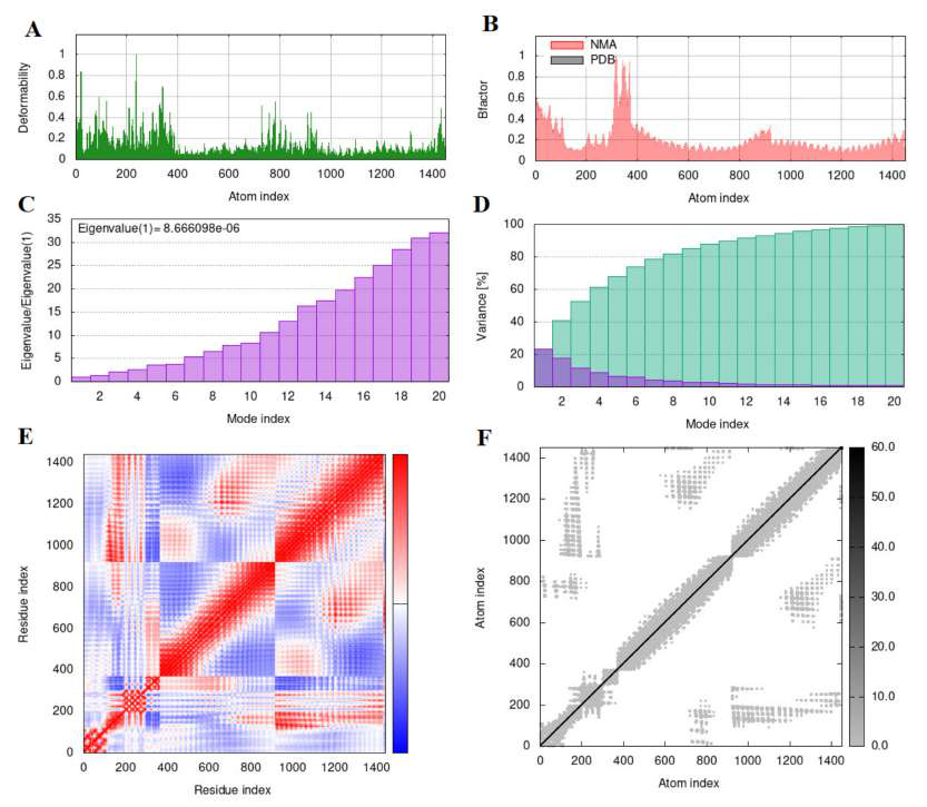 Figure 6 — molecular dynamics simulation results from iMOD